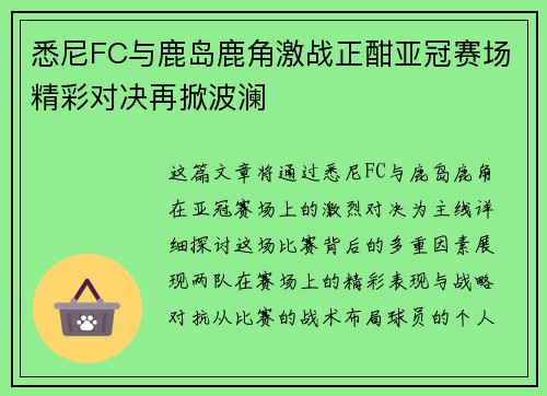 悉尼FC与鹿岛鹿角激战正酣亚冠赛场精彩对决再掀波澜